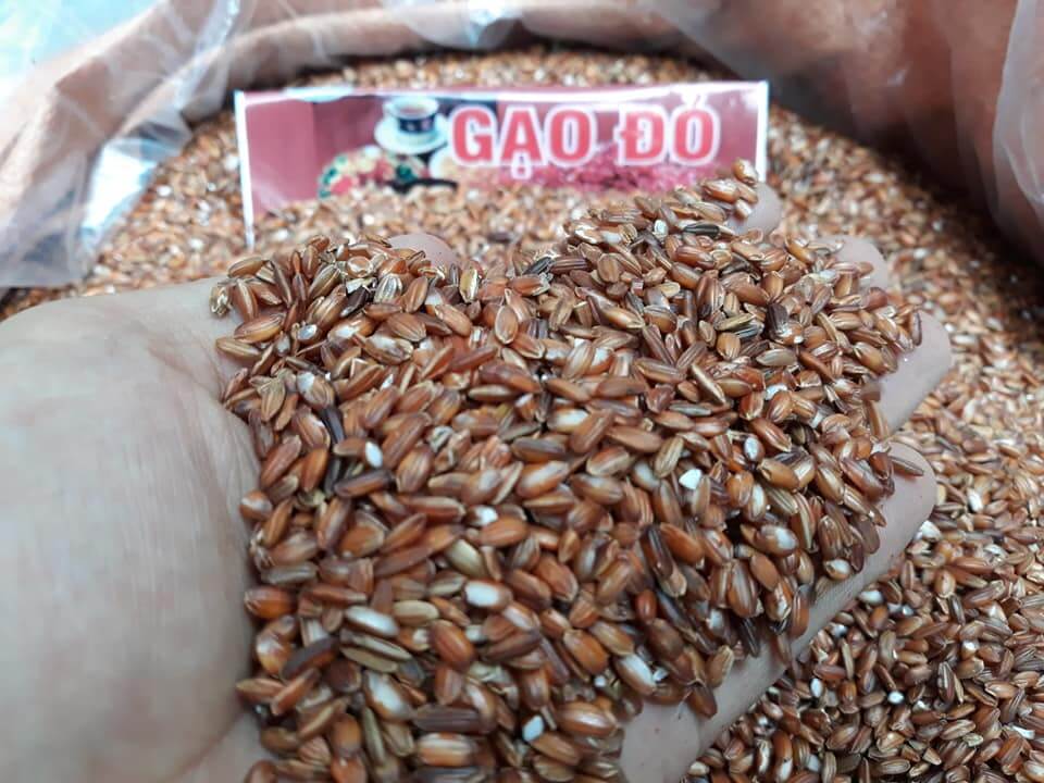 Gạo đỏ